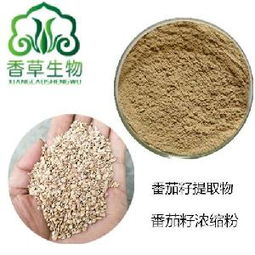 草紅花籽 草紅花籽價格 報價 草紅花籽品牌廠家