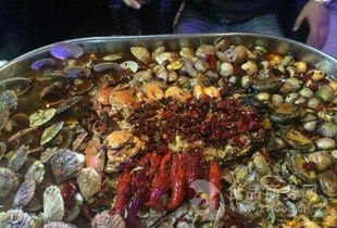 蝶魚 蝶魚價格 報價 蝶魚品牌廠家