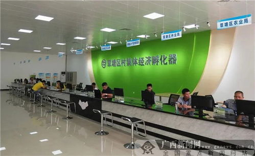 貴港市 多元發(fā)展 推動村級集體經(jīng)濟擴量提質(zhì)增效