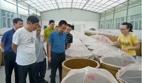 旺蒼縣大學生創(chuàng)新創(chuàng)業(yè)服務中心被授予 省級創(chuàng)業(yè)孵化基地