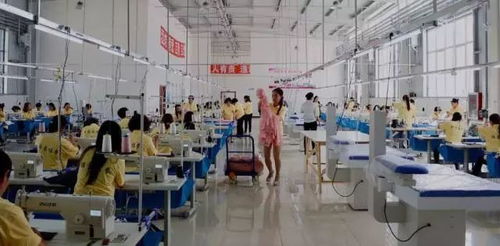 全國婦女手工編織協(xié)會(huì)在山西建立首個(gè)婦女扶貧工廠落戶忻州繁峙縣