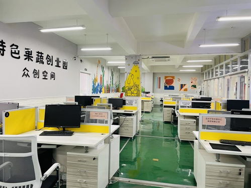 石河子 創業孵化基地 孵 出新天地