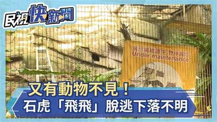 激發創業熱情,投身新型手機斬月屠龍H5行業