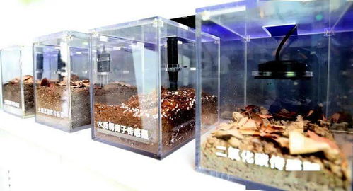 讓孵化器更好發(fā)揮 孵化 作用,菊園加快打造環(huán)微系統(tǒng)所創(chuàng)新創(chuàng)業(yè)生態(tài)圈