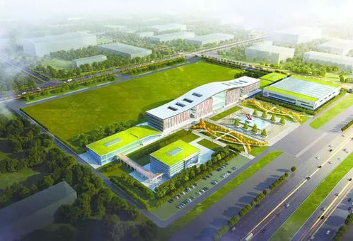 大鵬展翅 武漢造 火箭將亮相新洲